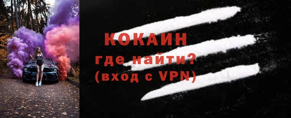дмт Пересвет