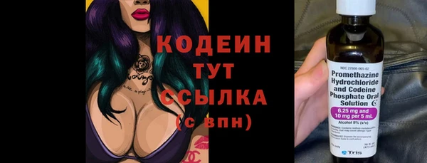 дмт Пересвет