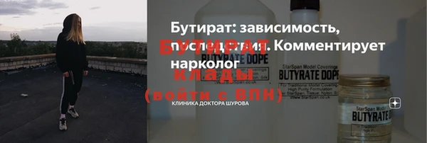 дмт Пересвет