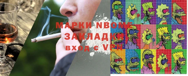 дмт Пересвет