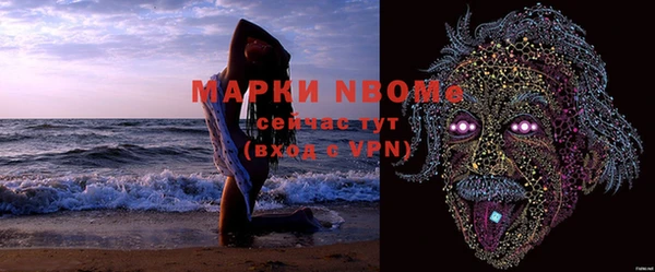 прущие грибы Покров