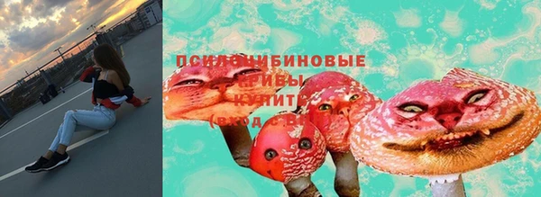 ECSTASY Покровск