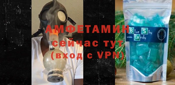 дмт Пересвет