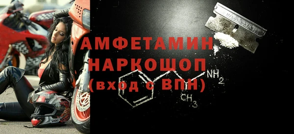 прущие грибы Покров